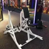 Fitness plate loaded equipment lateral rowing back extension machine