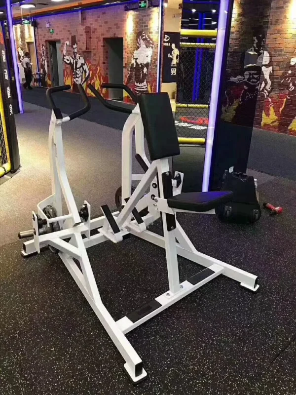 Fitness plate loaded equipment lateral rowing back extension machine