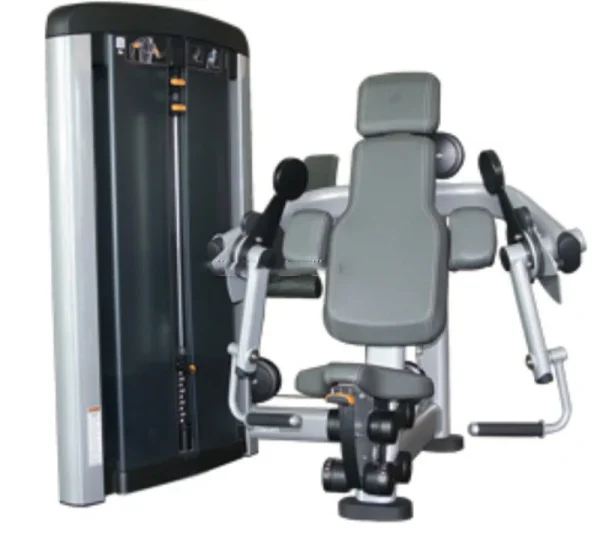 Factory Supply Gym Fitness Equipment Commercial Home Gym Biceps Curl Training Equipment