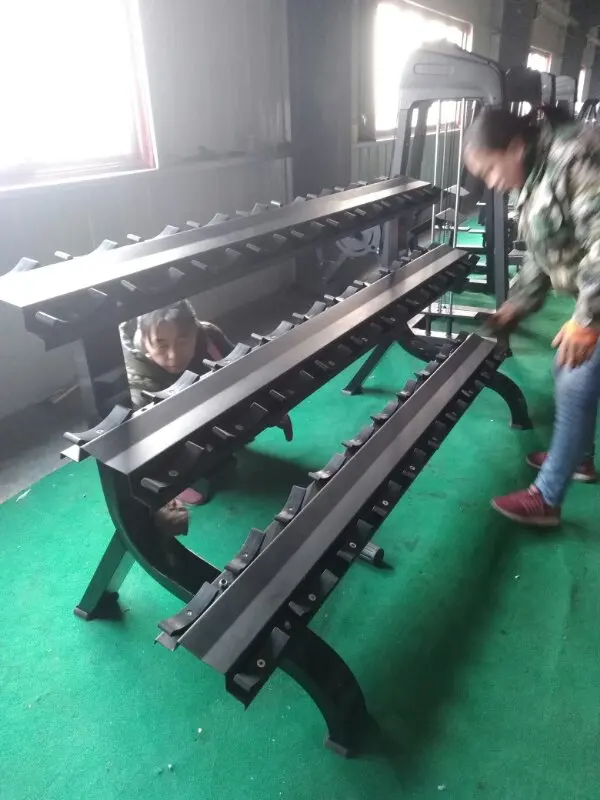 Professional factory direct sale commercial Gym equipment body building Linear vertical dumbbell rack