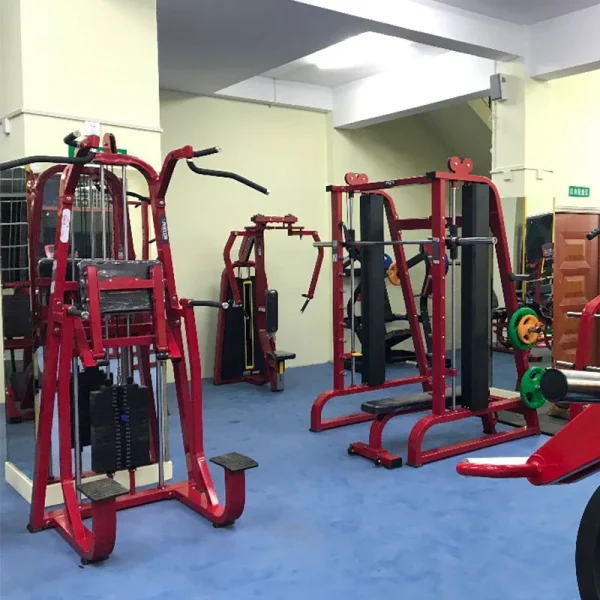 Gym Machine Commercial Pin Loaded Selection Dip Chin Assisted Chin Assisted Pull Up Machine For Body Building Training