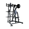 Professional Manufacturer Gym Equipment Home Fitness Hammer Low Row Laterallat pulldown Low Row machines