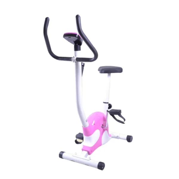 Exercise Bikes High Quality Wholesale Spinning Bike Foldable Bike For Exercising Home Use