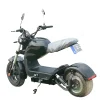 citycoco electric dirt bike 1500 w with EEC scooters EU warehouse stock