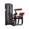 Gym Equipment Back Extension Sports Equipment Back Extension Machine