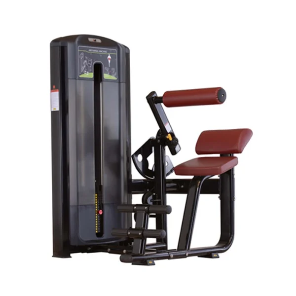 Gym Equipment Back Extension Sports Equipment Back Extension Machine