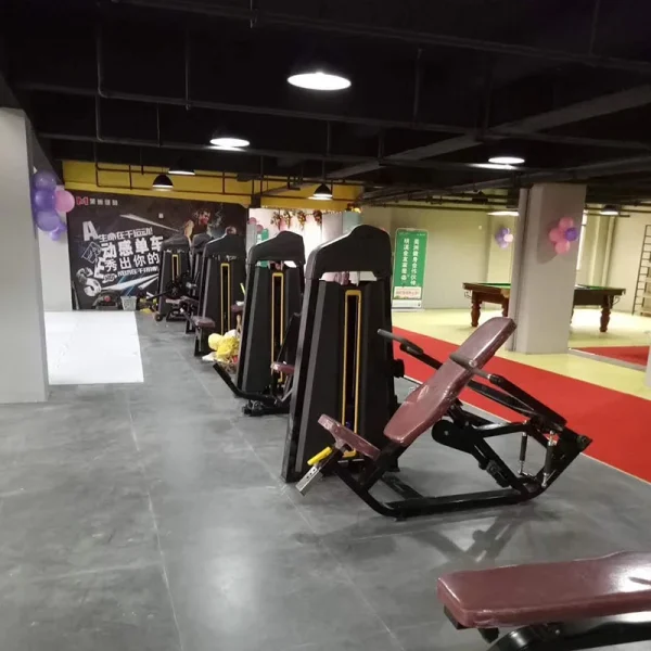 Fitness Pin Loaded Machine Weight Stack Strength Training Body Building Gym Use Seated Shoulder Press For Sale