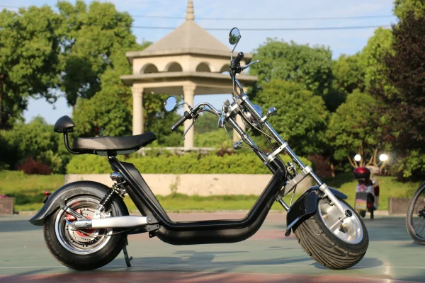 EU warehouse stock M2 pro EEC/COC certificate street legal 60v-40ah battery long range citycoco electric scooter