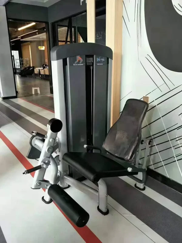Professional Fitness Gym Equipment Fitness 45 Degree Leg Extension Hack Squat Leg Curl Press Machine