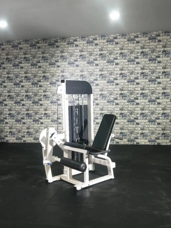 Body Building Multi Functional Gym Plate Loaded Seated Leg Extension Leg Curl Machine