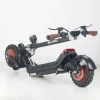 EU US Warehouse In Stock Removable Battery 11 Inch 48V 20Ah 1200W Duar Motor Electric Scooter for Adult