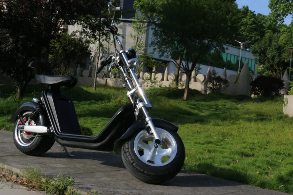 EU warehouse stock M2 pro EEC/COC certificate street legal 60v-40ah battery long range citycoco electric scooter