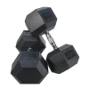 Hot Sale Factory Supplied Professional Dumbbell Weights Rubber Hex Dumbbells