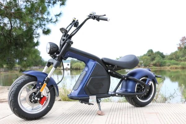 European warehouse spot EEC COC electric scooter 2000w  30AH electric motorcycle citycoco electric scooter