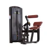 Gym Equipment Back Extension Sports Equipment Back Extension Machine