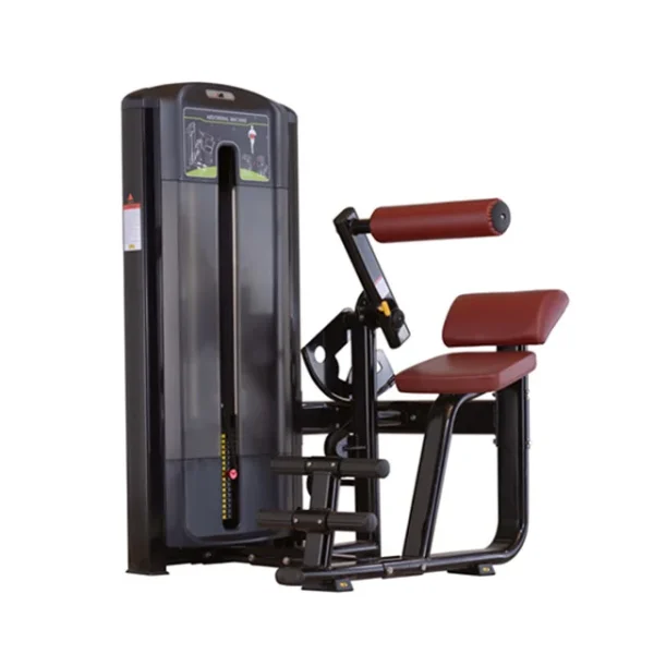 Gym Equipment Back Extension Sports Equipment Back Extension Machine