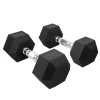 Hot Sale Factory Supplied Professional Dumbbell Weights Rubber Hex Dumbbells