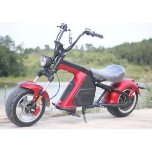 Europe Warehouse New Model M8 2000w powerful Citycoco Adult Electric Motorcycle citycoco electric scooter 20AH