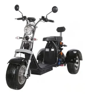 1500W electric motor tricycle with 10 inch tires motor car battery power 60v-20ah citycoco electric scooter