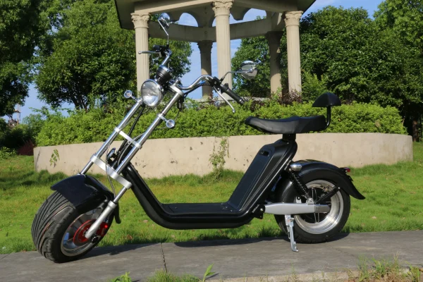 EU warehouse stock M2 pro EEC/COC certificate street legal 60v-40ah battery long range citycoco electric scooter