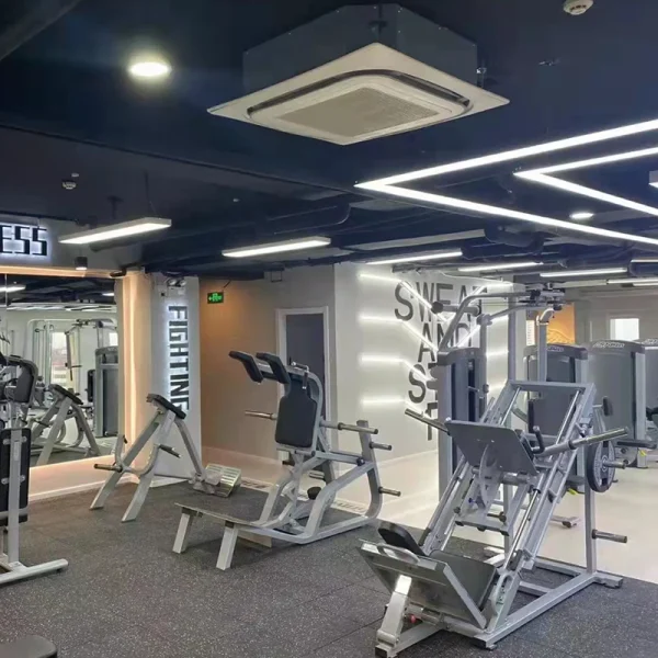 Hot Sale Commercial Gym Fitness Machine Gym Equipment Seated Arm Curl Bench Gym Center Use