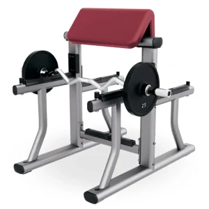 Hot Sale Commercial Gym Fitness Machine Gym Equipment Seated Arm Curl Bench Gym Center Use
