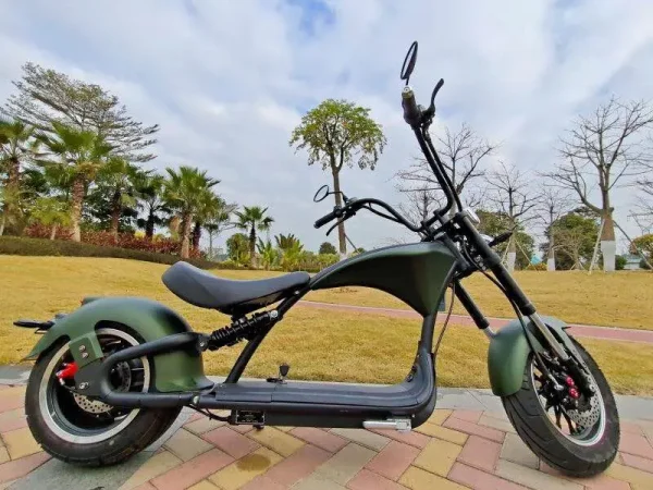 European warehouse spot High power 2000w Citycoco with Big Fat Tire City Electric Motorcycles citycoco electric scooter