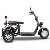 1500W electric motor tricycle with 10 inch tires motor car battery power 60v-20ah citycoco electric scooter
