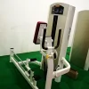 Commercial manufacturer Life Fitness Standing Leg Extension machine gym for gym club