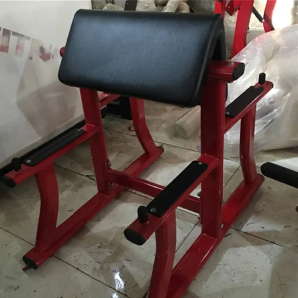 Hot Sale Commercial Gym Fitness Machine Gym Equipment Seated Arm Curl Bench Gym Center Use