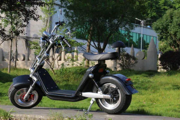 EU warehouse stock M2 pro EEC/COC certificate street legal 60v-40ah battery long range citycoco electric scooter