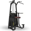 Gym Machine Commercial Pin Loaded Selection Dip Chin Assisted Chin Assisted Pull Up Machine For Body Building Training