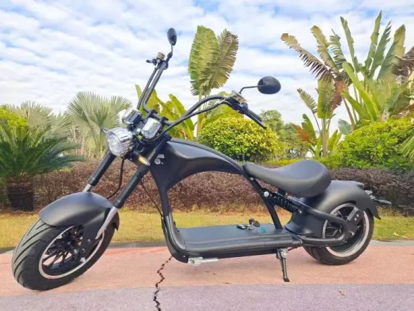 European warehouse spot High power 2000w Citycoco with Big Fat Tire City Electric Motorcycles citycoco electric scooter