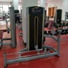Commercial manufacturer Life Fitness Standing Leg Extension machine gym for gym club