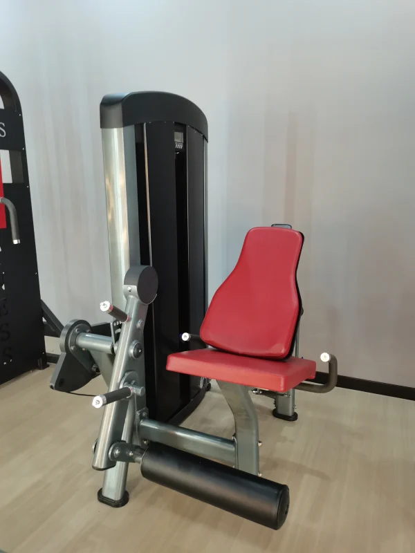 Professional Fitness Gym Equipment Fitness 45 Degree Leg Extension Hack Squat Leg Curl Press Machine