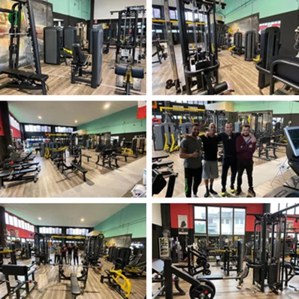 Hot Sale Commercial Gym Fitness Machine Gym Equipment Seated Arm Curl Bench Gym Center Use